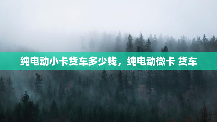 纯电动小卡货车多少钱，纯电动微卡 货车