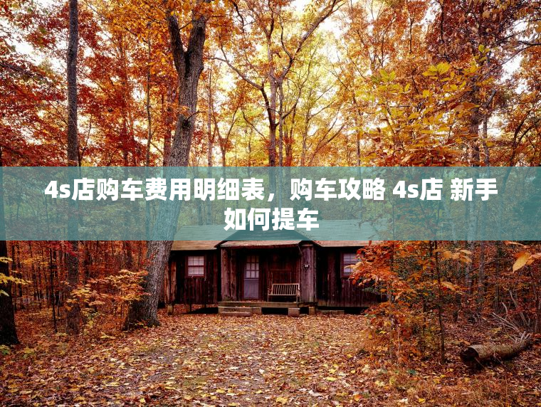 4s店购车费用明细表，购车攻略 4s店 新手如何提车