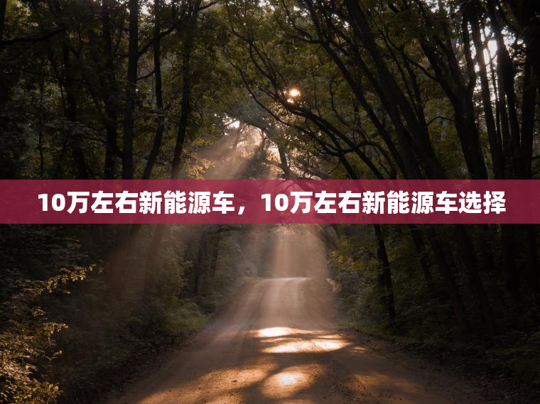 10万左右新能源车，10万左右新能源车选择
