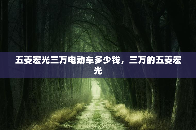 五菱宏光三万电动车多少钱，三万的五菱宏光