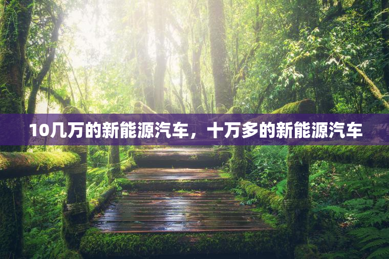 10几万的新能源汽车，十万多的新能源汽车