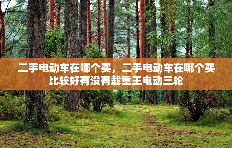 二手电动车在哪个买,二手电动车在哪个买比较好有没有载重王电动三轮 二手电动车在哪个买,二手电动车在哪个买比较好有没有载重王电动三轮