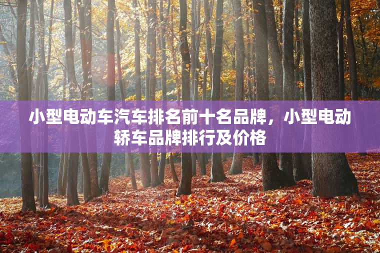 小型电动车汽车排名前十名品牌，小型电动轿车品牌排行及价格