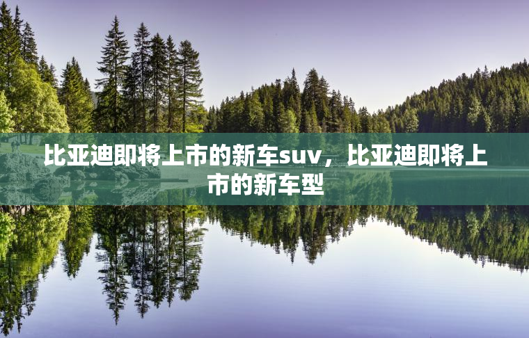比亚迪即将上市的新车suv，比亚迪即将上市的新车型