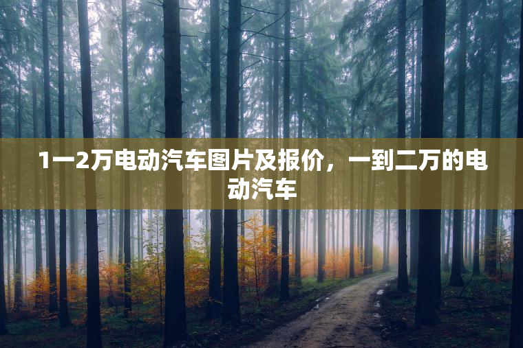 1一2万电动汽车图片及报价，一到二万的电动汽车