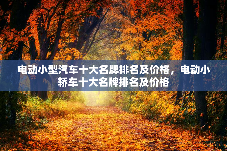 电动小型汽车十大名牌排名及价格，电动小轿车十大名牌排名及价格