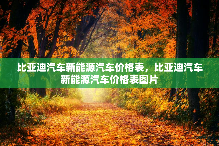 比亚迪汽车新能源汽车价格表,比亚迪汽车新能源汽车价格表图片 比亚迪汽车新能源汽车价格表,比亚迪汽车新能源汽车价格表图片