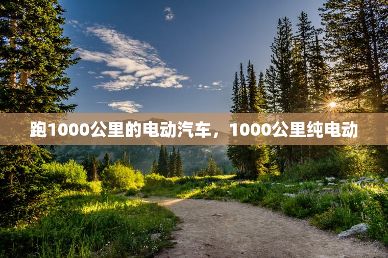 跑1000公里的电动汽车，1000公里纯电动