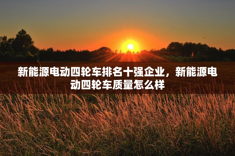 新能源电动四轮车排名十强企业，新能源电动四轮车质量怎么样