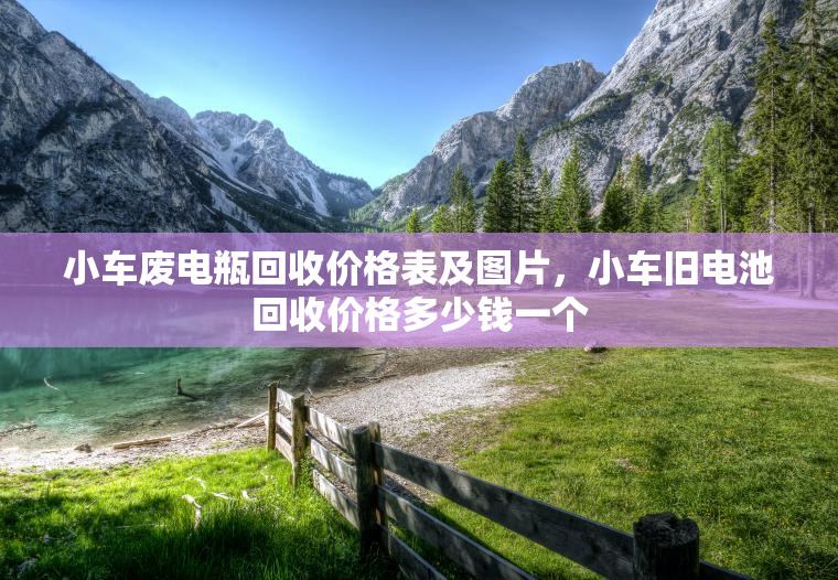 小车废电瓶回收价格表及图片，小车旧电池回收价格多少钱一个