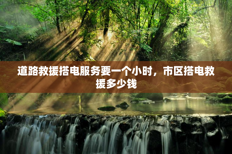 道路救援搭电服务要一个小时，市区搭电救援多少钱