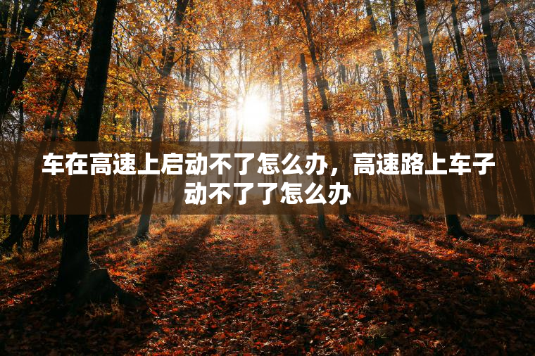 车在高速上启动不了怎么办，高速路上车子动不了了怎么办