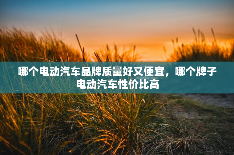 哪个电动汽车品牌质量好又便宜，哪个牌子电动汽车性价比高