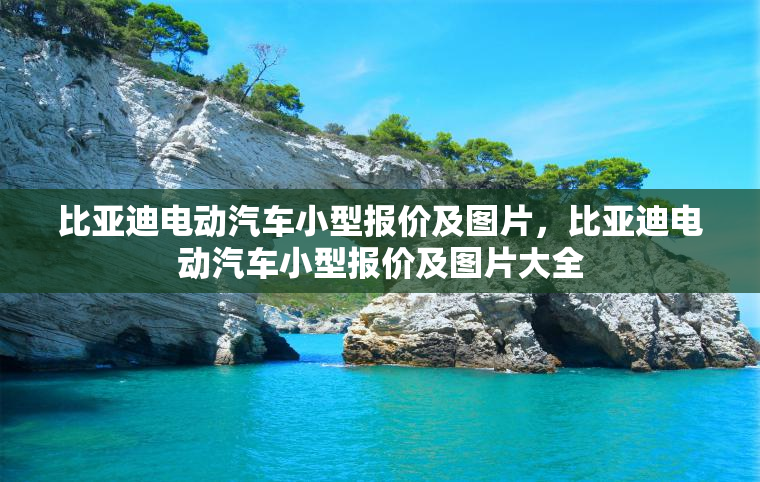 比亚迪电动汽车小型报价及图片，比亚迪电动汽车小型报价及图片大全
