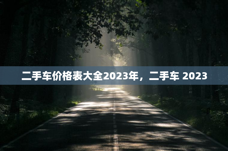 二手车价格表大全2023年，二手车 2023