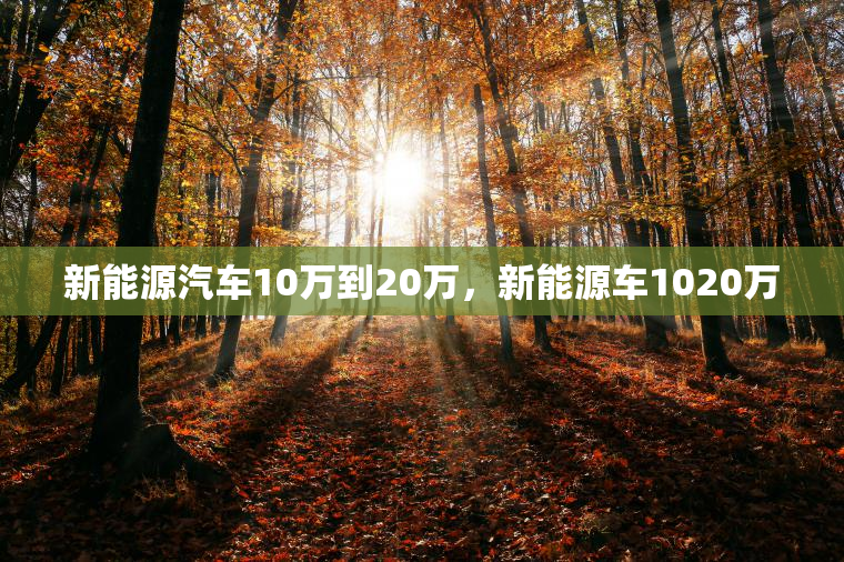 新能源汽车10万到20万，新能源车1020万