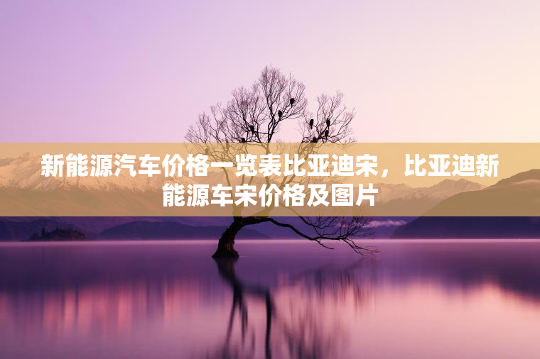 新能源汽车价格一览表比亚迪宋,比亚迪新能源车宋价格及图片 新能源汽车价格一览表比亚迪宋,比亚迪新能源车宋价格及图片