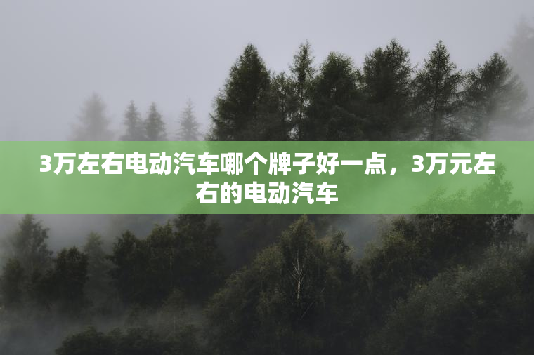 3万左右电动汽车哪个牌子好一点，3万元左右的电动汽车