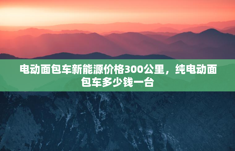 电动面包车新能源价格300公里，纯电动面包车多少钱一台