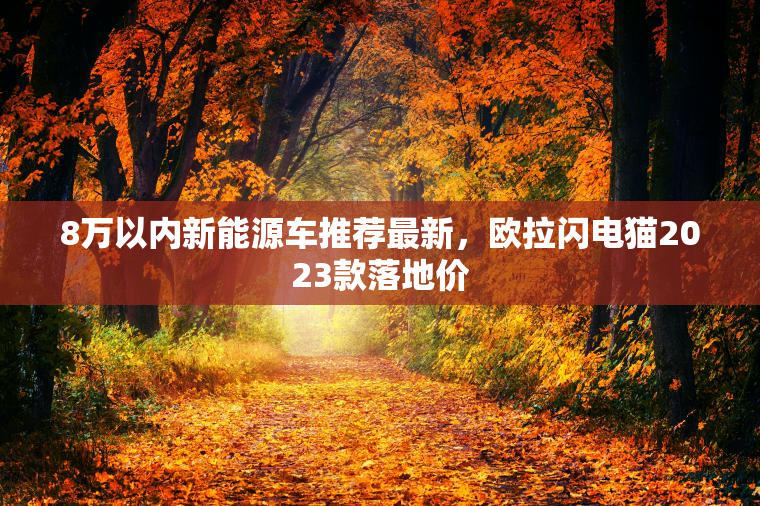 8万以内新能源车推荐最新，欧拉闪电猫2023款落地价