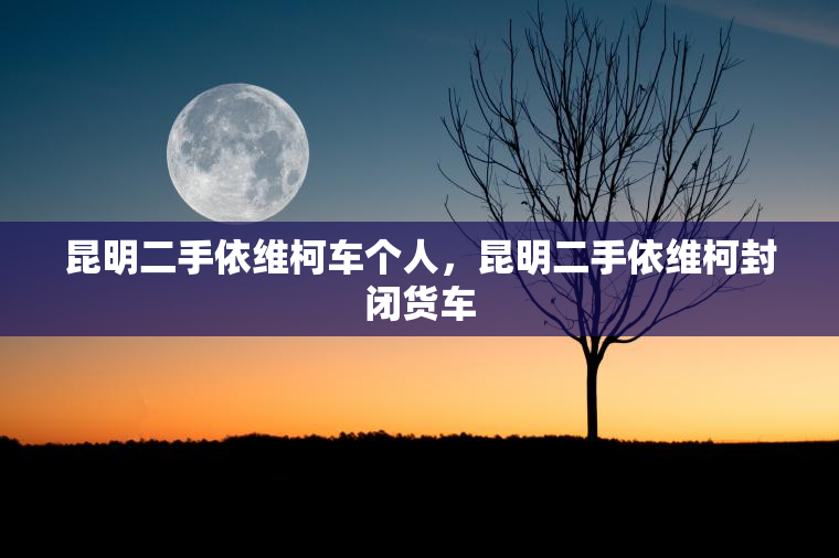 昆明二手依维柯车个人，昆明二手依维柯封闭货车