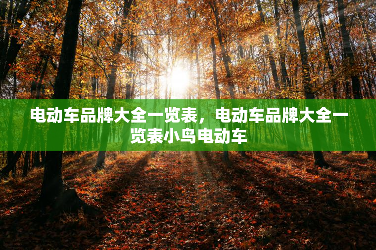 电动车品牌大全一览表，电动车品牌大全一览表小鸟电动车