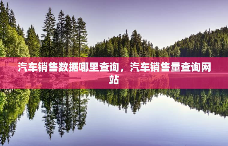 汽车销售数据哪里查询，汽车销售量查询网站
