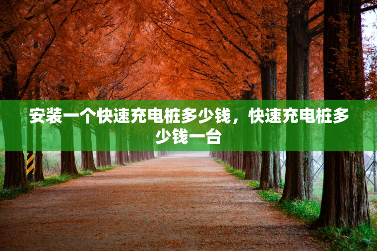 安装一个快速充电桩多少钱，快速充电桩多少钱一台