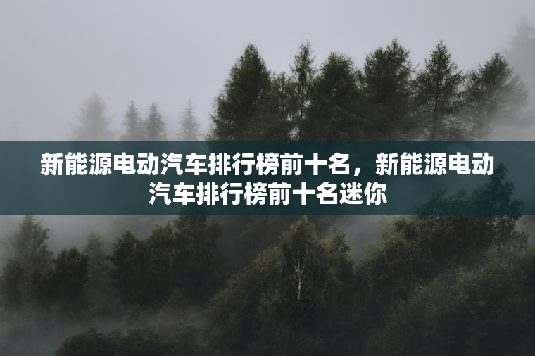 新能源电动汽车排行榜前十名，新能源电动汽车排行榜前十名迷你