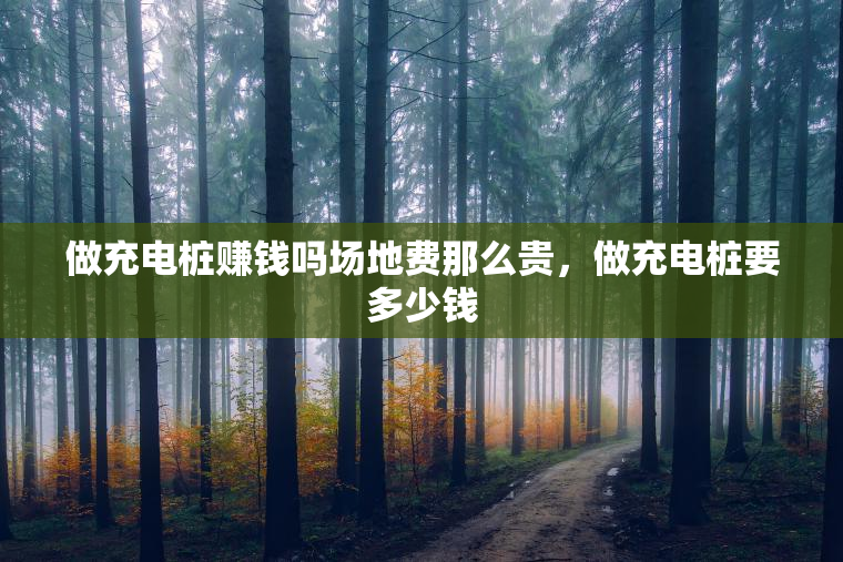 做充电桩赚钱吗场地费那么贵，做充电桩要多少钱