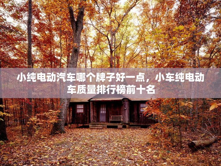 小纯电动汽车哪个牌子好一点，小车纯电动车质量排行榜前十名