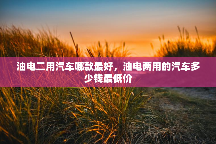油电二用汽车哪款最好，油电两用的汽车多少钱最低价