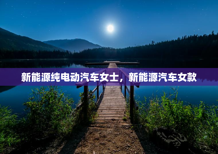 新能源纯电动汽车女士，新能源汽车女款