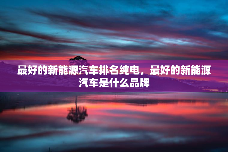 最好的新能源汽车排名纯电，最好的新能源汽车是什么品牌