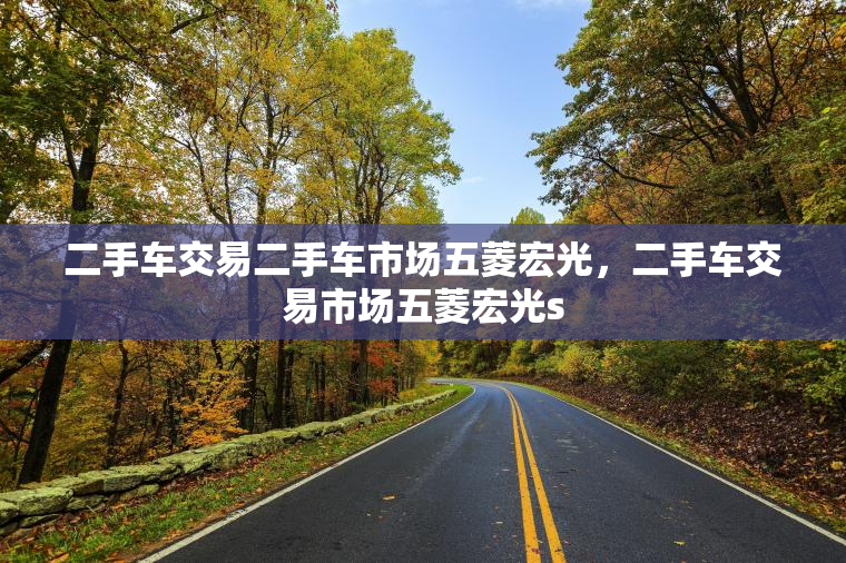 二手车交易二手车市场五菱宏光，二手车交易市场五菱宏光s