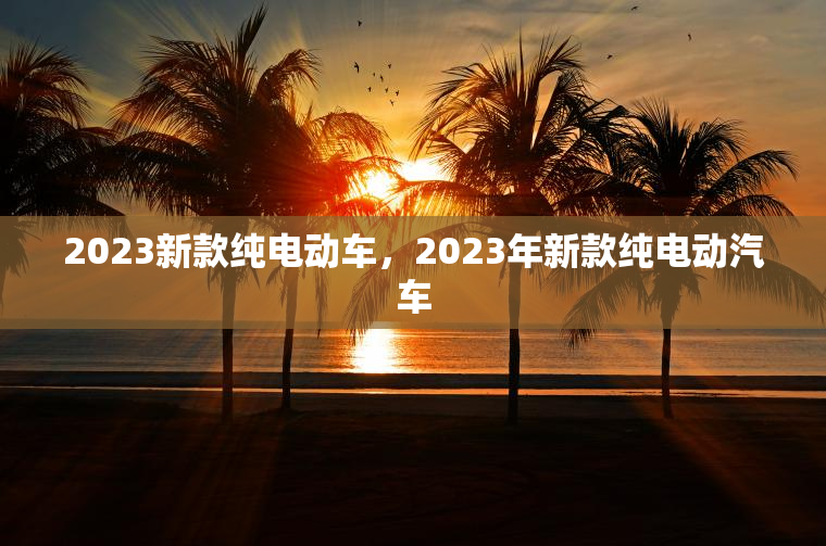 2023新款纯电动车，2023年新款纯电动汽车