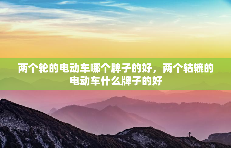 两个轮的电动车哪个牌子的好，两个轱辘的电动车什么牌子的好