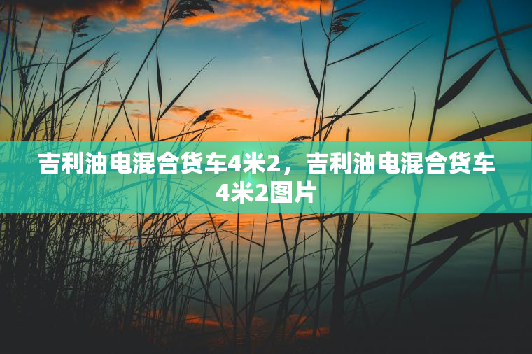 吉利油电混合货车4米2，吉利油电混合货车4米2图片