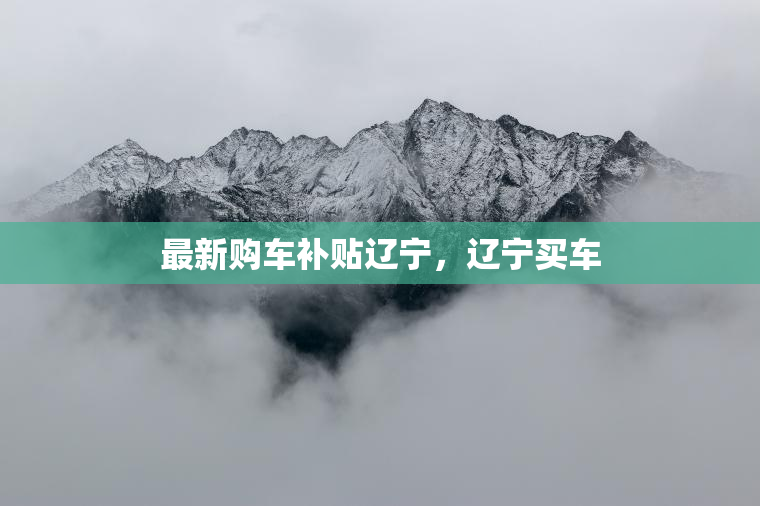 最新购车补贴辽宁，辽宁买车