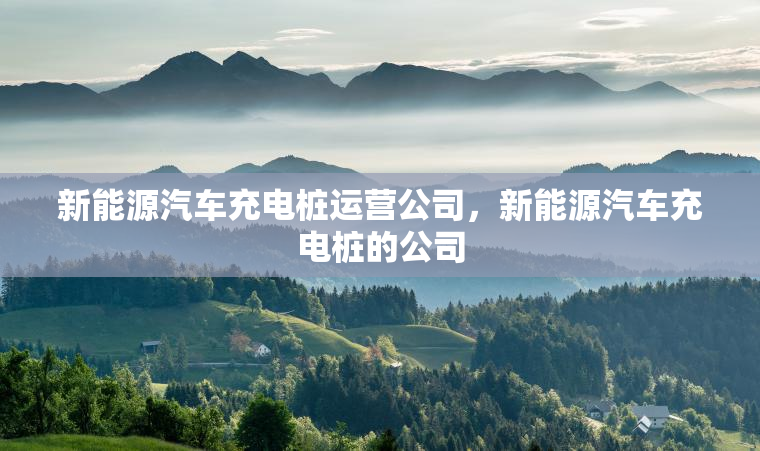 新能源汽车充电桩运营公司，新能源汽车充电桩的公司