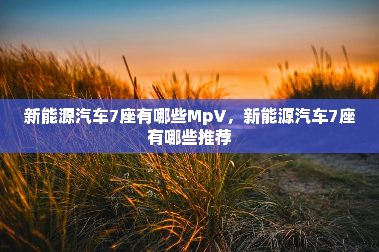新能源汽车7座有哪些MpV，新能源汽车7座有哪些推荐