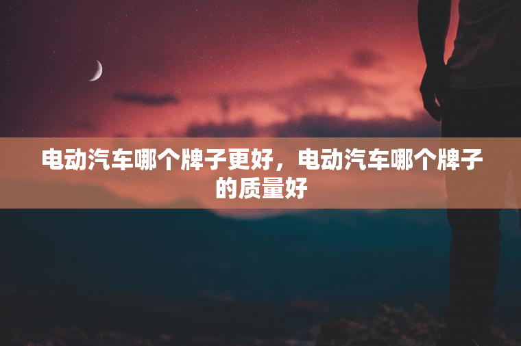 电动汽车哪个牌子更好，电动汽车哪个牌子的质量好