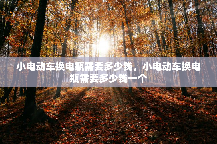 小电动车换电瓶需要多少钱，小电动车换电瓶需要多少钱一个