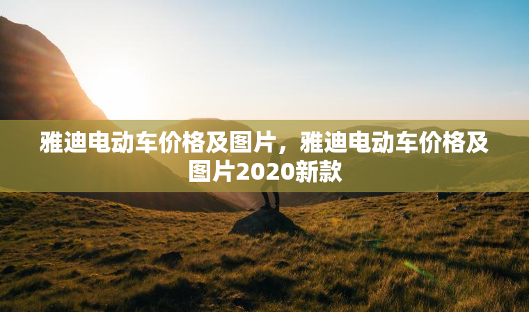 雅迪电动车价格及图片，雅迪电动车价格及图片2020新款