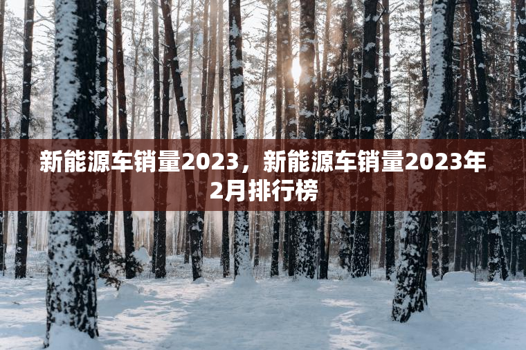新能源车销量2023，新能源车销量2023年2月排行榜