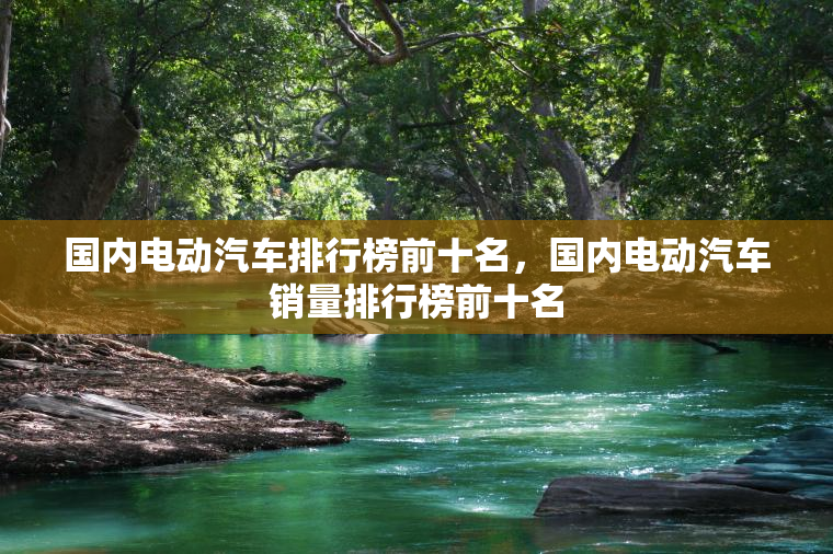 国内电动汽车排行榜前十名，国内电动汽车销量排行榜前十名