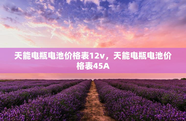 天能电瓶电池价格表12v，天能电瓶电池价格表45A
