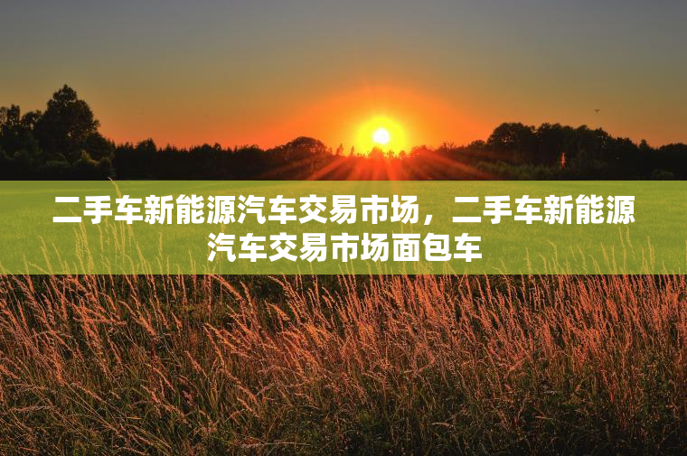 二手车新能源汽车交易市场,二手车新能源汽车交易市场面包车 二手车新能源汽车交易市场,二手车新能源汽车交易市场面包车