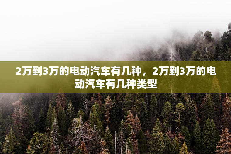 2万到3万的电动汽车有几种，2万到3万的电动汽车有几种类型