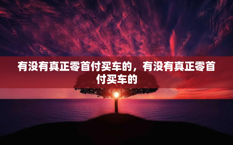 有没有真正零首付买车的，有没有真正零首付买车的